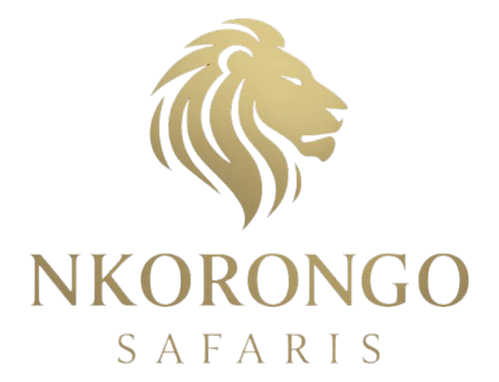Nkorongo Safaris